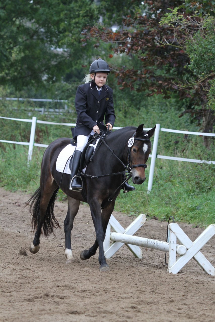 Bild 1037 - WBO-Turnier am 18.9.11